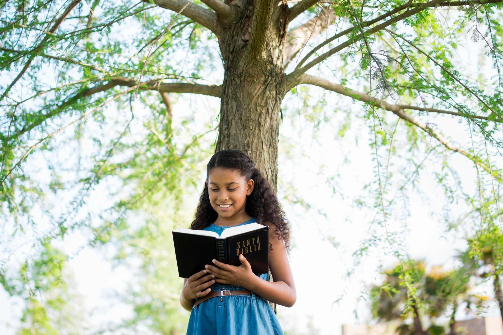 Person reading the Bible outdoors